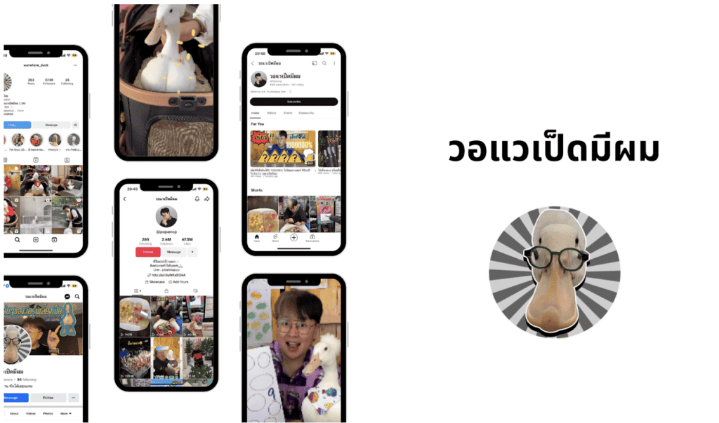 วอแวเป็ดมีผม