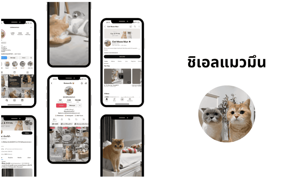 ชิเอลแมวมึน