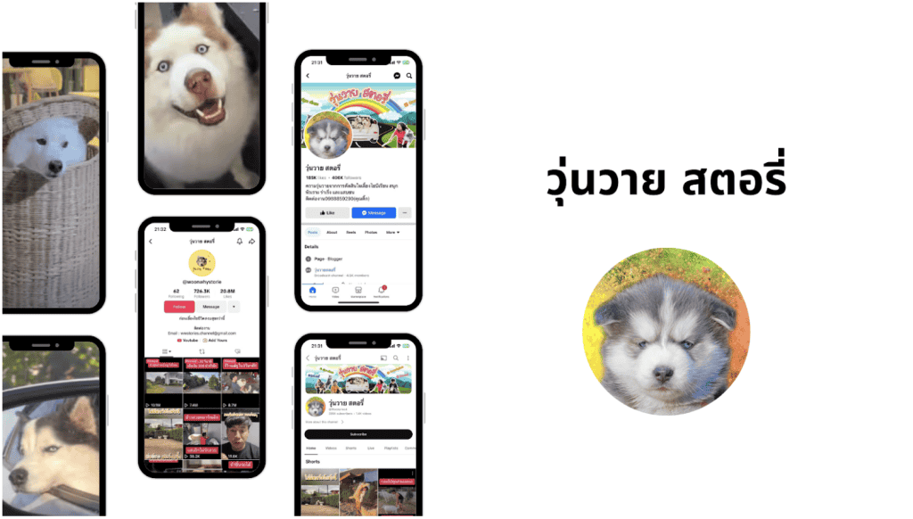 วุ่นวาย สตอรี่ : เรื่องราววุ่น ๆ ของหมาไซบีเรียน