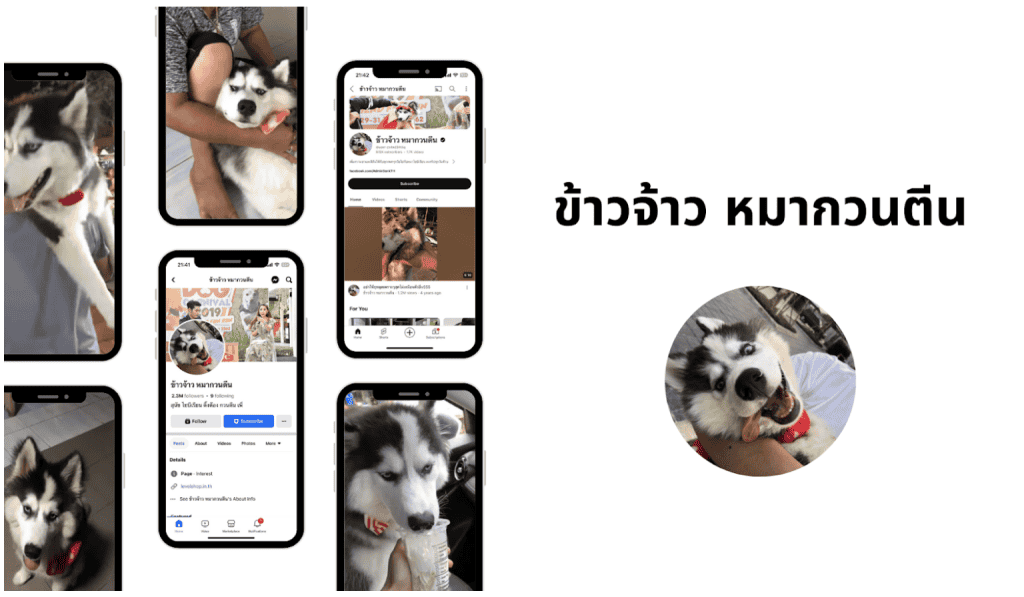 ข้าวจ้าว หมากวนตีน