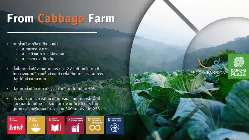 Cabbage Farm