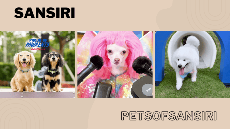 Pets of Sansiri